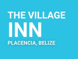 the village inn logo