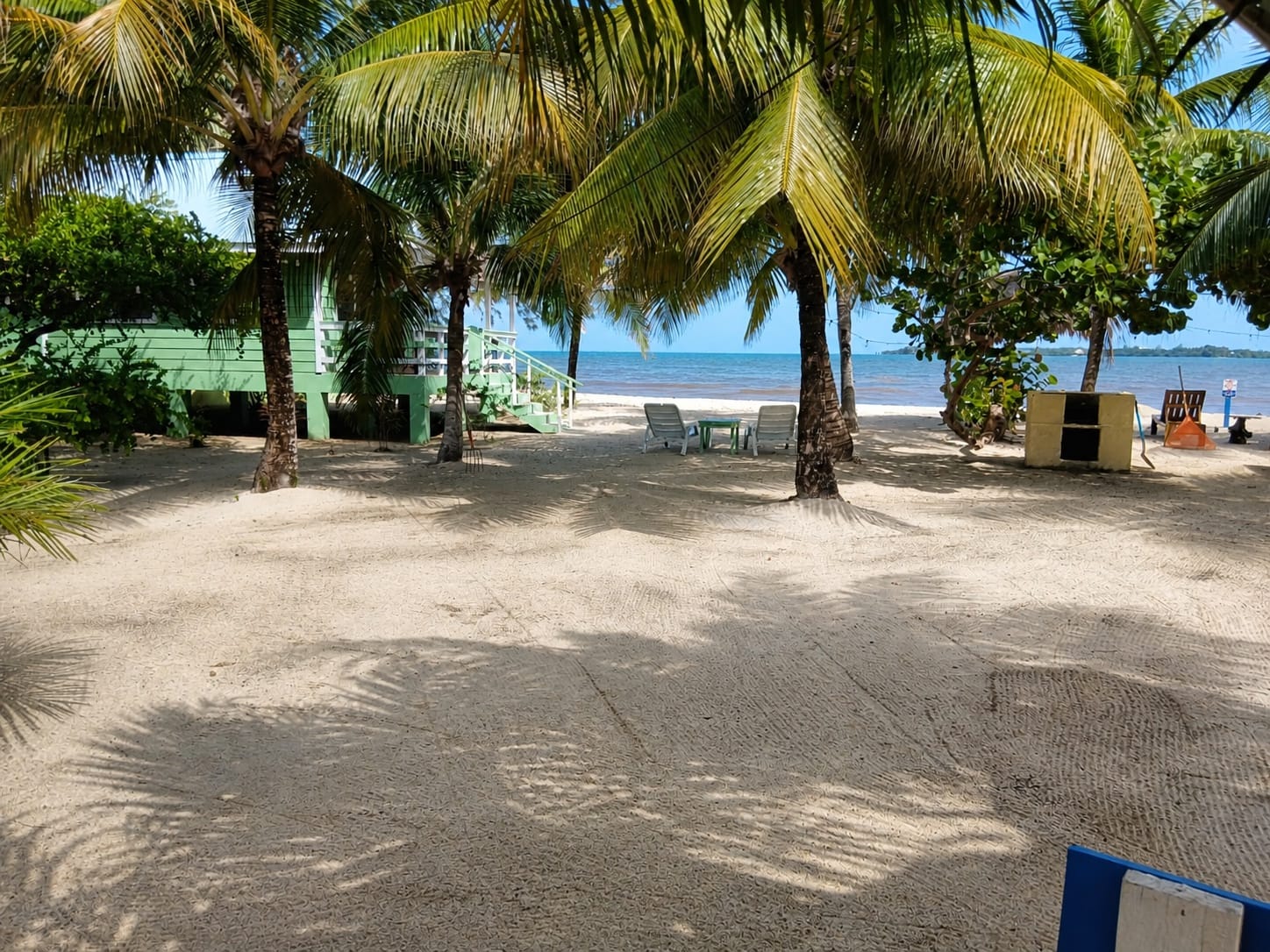 Palm-shaded beachfront at The Village Inn